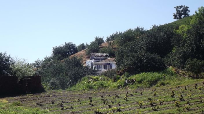 Image No.27-1 Bed Villa for sale