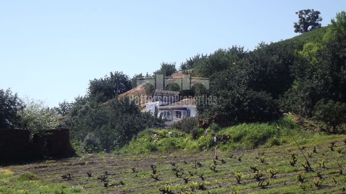 Image No.27-1 Bed Villa for sale