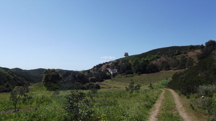 Image No.29-Villa de 1 chambre à vendre à Santa Maria