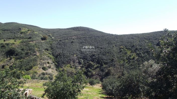 Image No.28-1 Bed Villa for sale