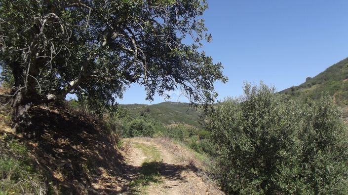 Image No.31-Villa de 1 chambre à vendre à Santa Maria