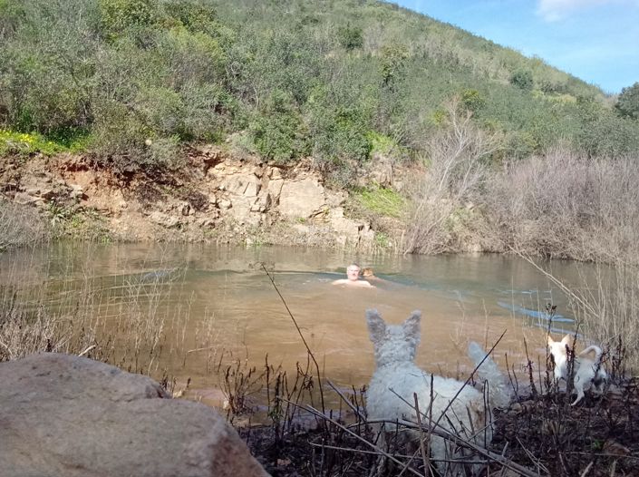 Image No.34-Villa de 1 chambre à vendre à Santa Maria