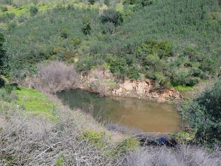 Image No.35-Villa de 1 chambre à vendre à Santa Maria