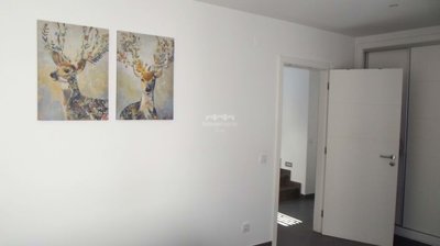 1603-663176-0541cce4ce08b5944d9912c0c67cb2a9c