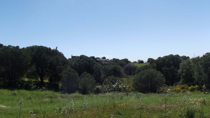 Image No.10-Land for sale