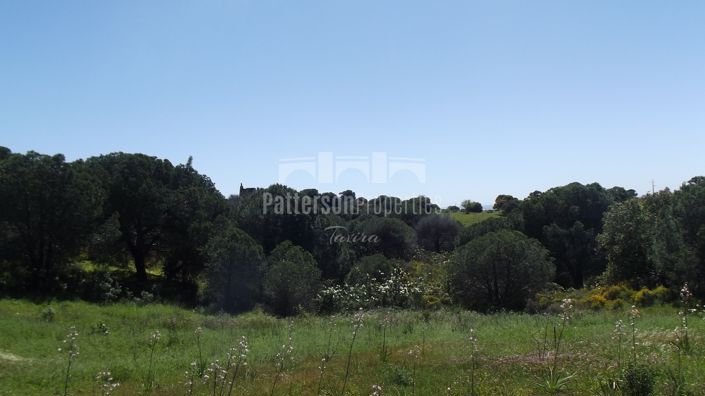 Image No.10-Land for sale