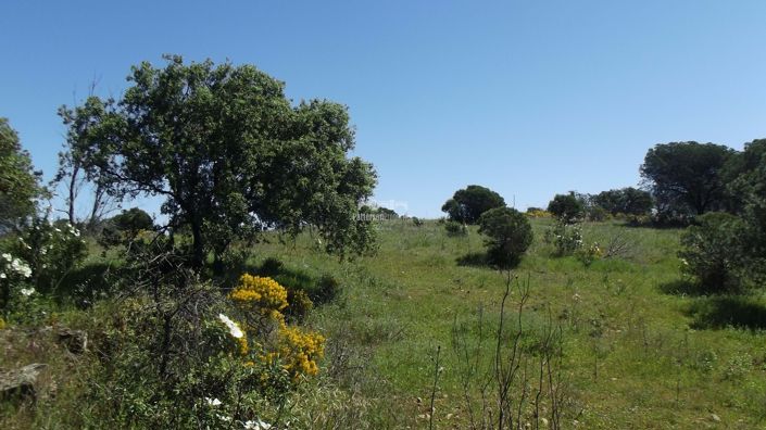 Image No.11-Land for sale
