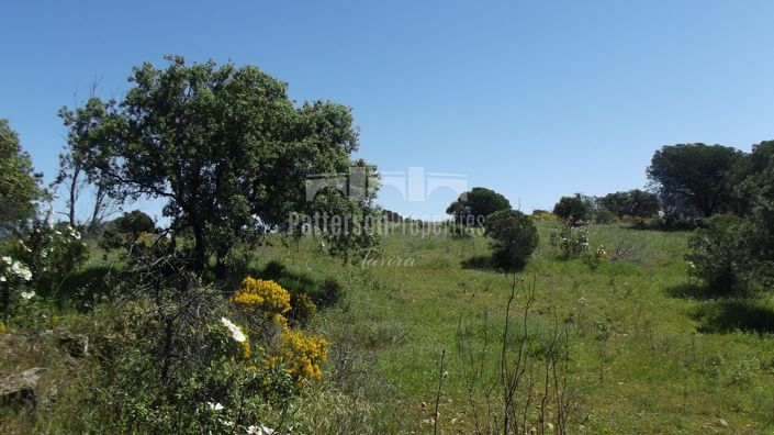 Image No.11-Land for sale