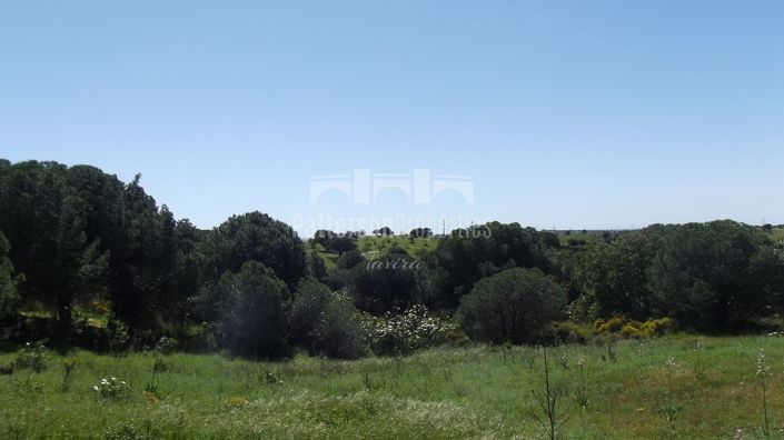 Image No.12-Land for sale