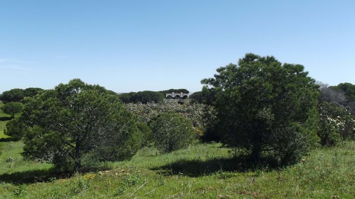 Image No.13-Land for sale