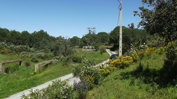 Image No.15-Land for sale