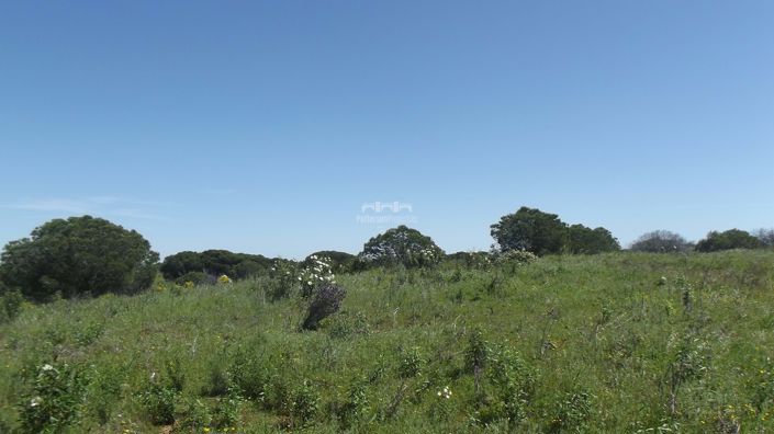 Image No.2-Land for sale