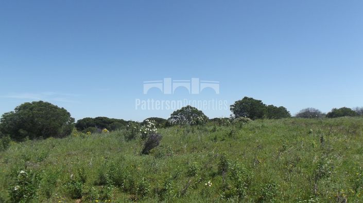 Image No.2-Land for sale