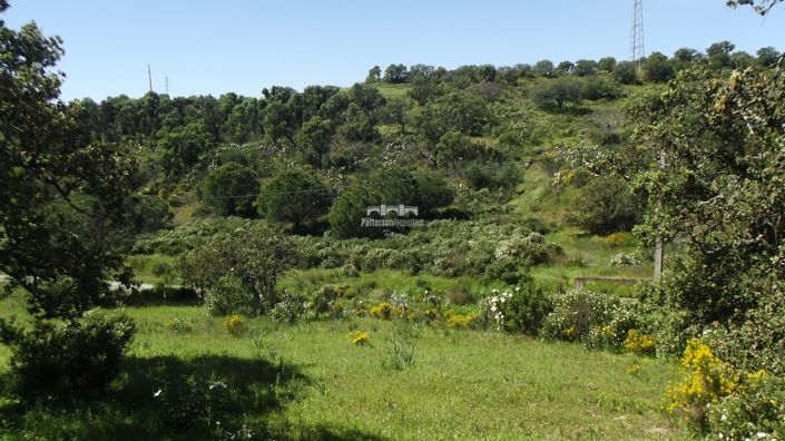 Image No.3-Land for sale