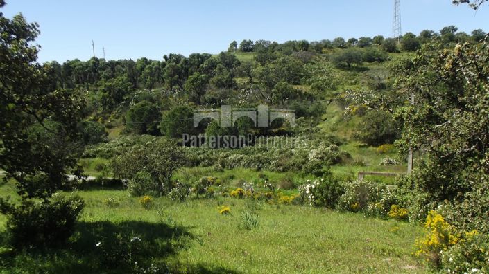 Image No.3-Land for sale