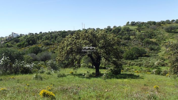 Image No.4-Land for sale