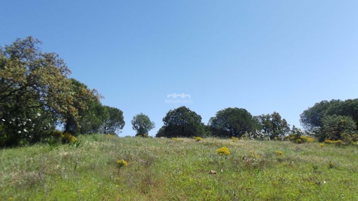 Image No.8-Land for sale