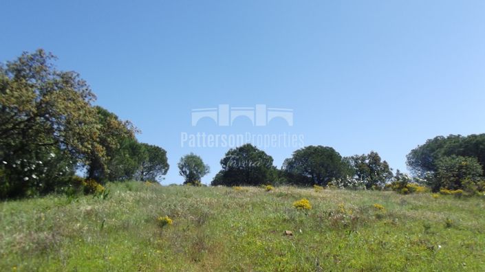 Image No.8-Land for sale