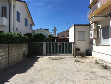 IMG_6061