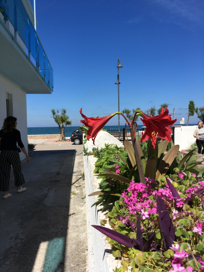 Image No.20-1 Bed Apartment for sale