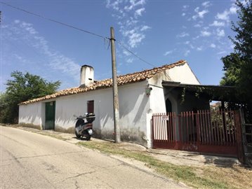 IMG_7351
