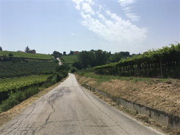 IMG_7350