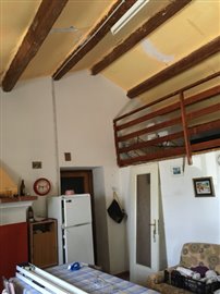 IMG_7364