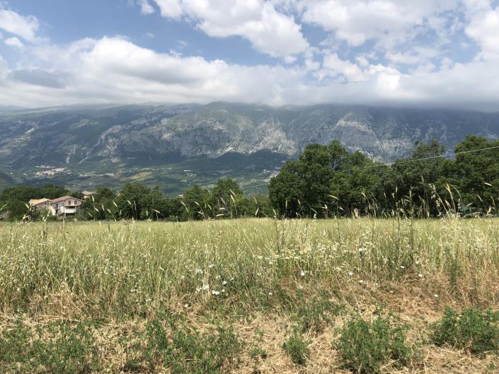 Image No.4-4 Bed Country House for sale