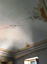 IMG_5952