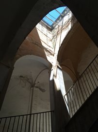 IMG_5979