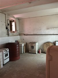 IMG_5919