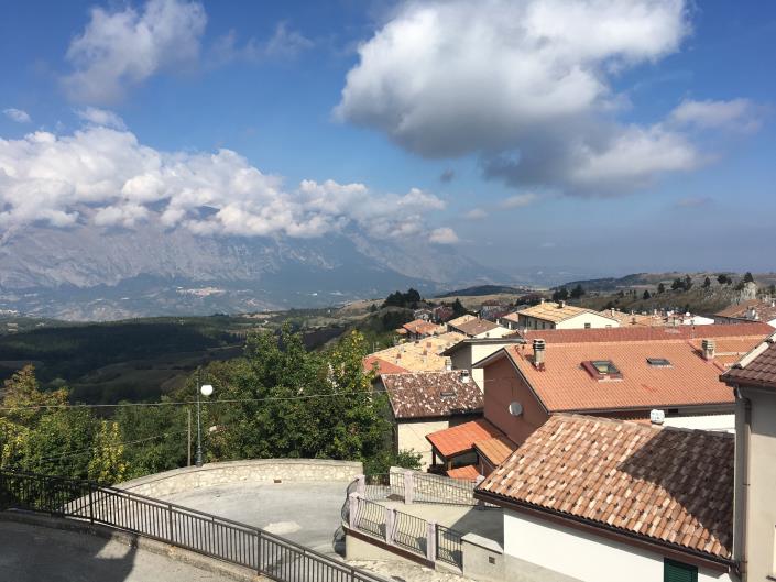 Image No.4-4 Bed Village House for sale