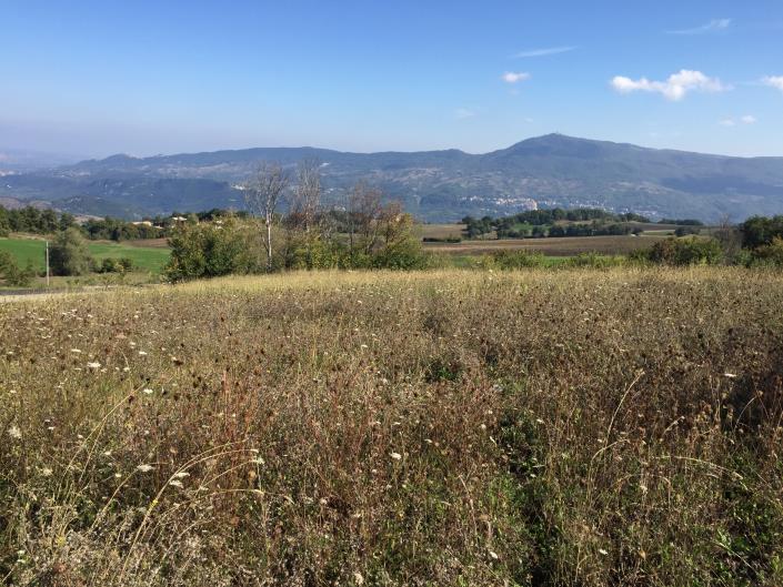 Image No.10-Maison de village de 2 chambres à vendre à Torricella Peligna