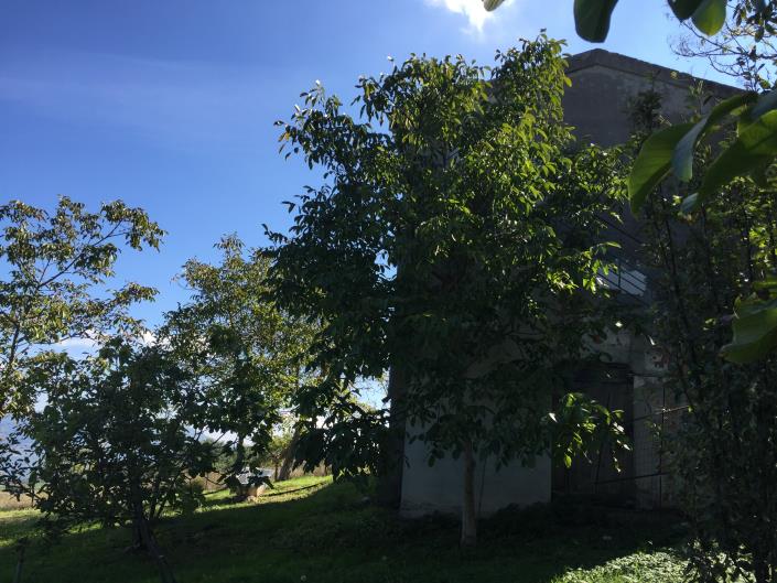 Image No.23-Maison de village de 2 chambres à vendre à Torricella Peligna