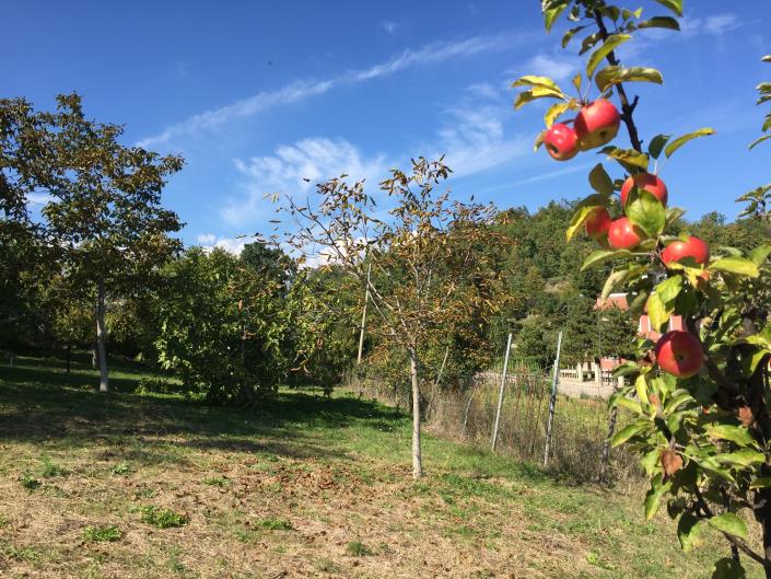 Image No.25-Maison de village de 2 chambres à vendre à Torricella Peligna