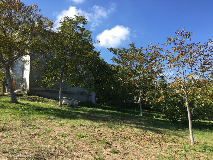 Image No.24-Maison de village de 2 chambres à vendre à Torricella Peligna