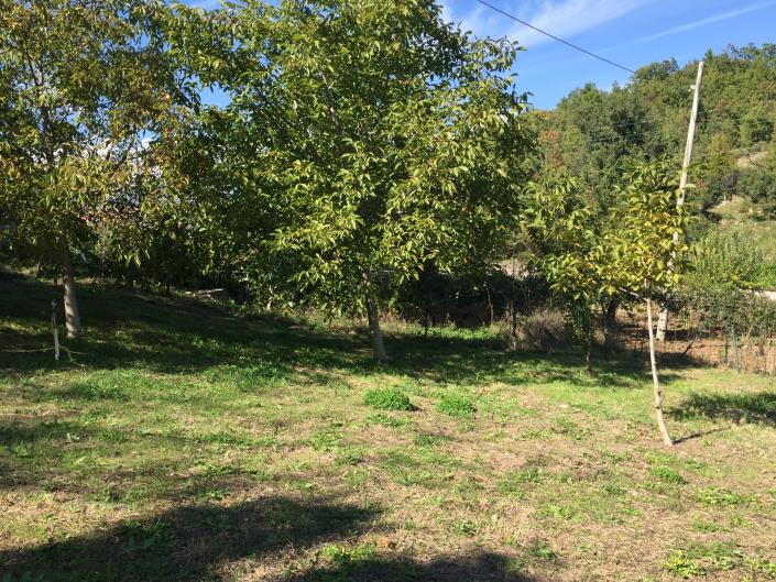 Image No.28-Maison de village de 2 chambres à vendre à Torricella Peligna