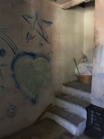 IMG_2553