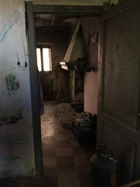 IMG_2554
