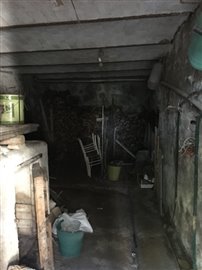 IMG_2562