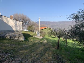 IMG_5784