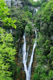 shutterstock_414636265