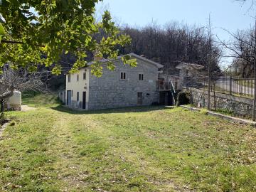 IMG_5695