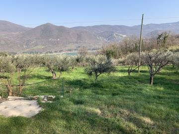IMG_5785