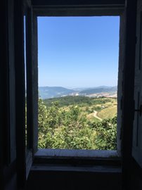 IMG_2464