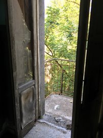 IMG_2487