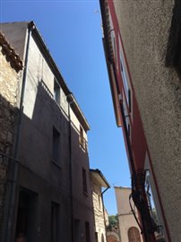 IMG_2500