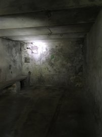 IMG_2509