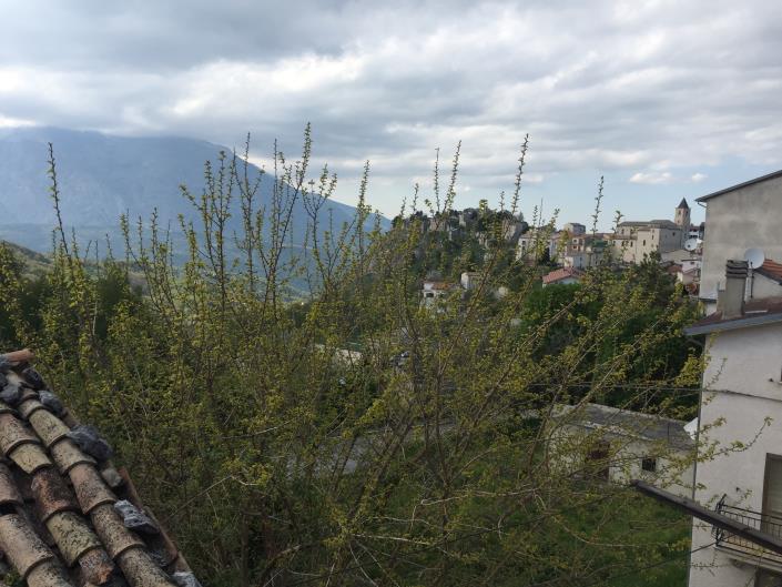 Image No.22-Maison de ville de 1 chambre à vendre à Gessopalena