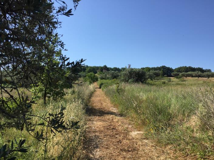 Image No.5-2 Bed Farmhouse for sale